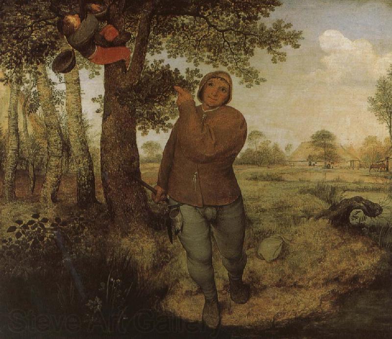 Pieter Bruegel From farmers and Selenocosmia Spain oil painting art